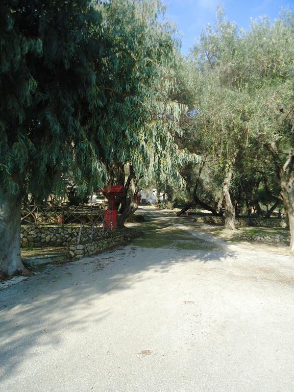 Camping Paleokastritsa Campsite 3*